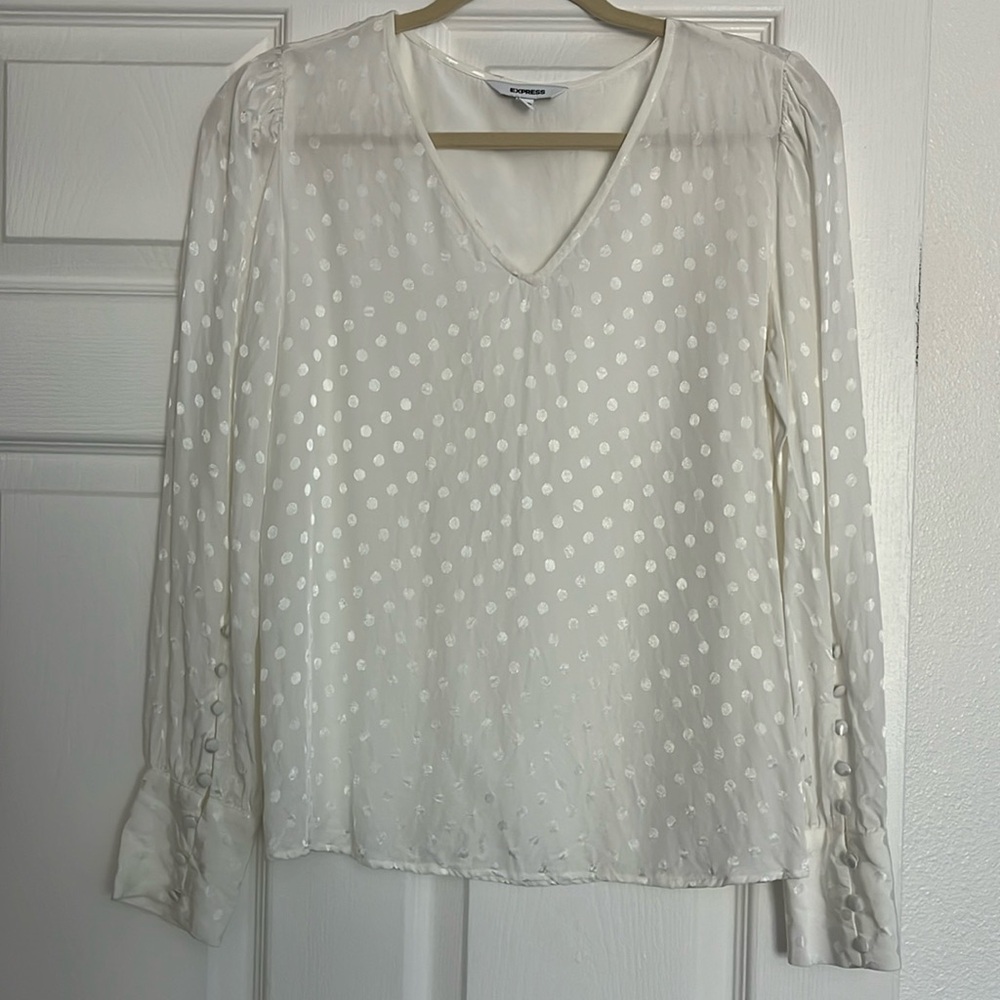 Express Dressy Top